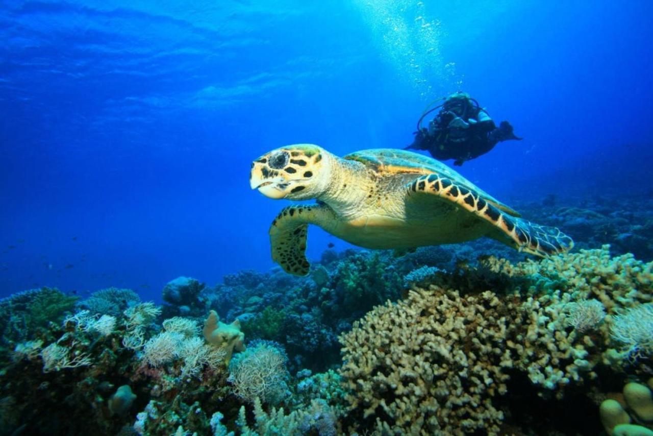 شقة Sea View لاغاناس المظهر الخارجي الصورة